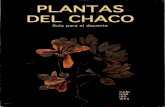 PLANTAS DEL CHACO - horizon.documentation.ird.fr