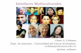 Interfaces Multiculturales - Institución Privada de ...