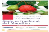 Cadena Nacional del Marañón