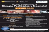 VII CURSO INTERNACIONAL DE Cirugía Pediátrica y Neonatal