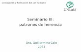 patrones de herencia Seminario III