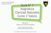 COLEGIO MARTA BRNET Guía N 7 Asignatura Ciencias Naturales ...