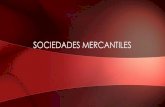 SOCIEDADES MERCANTILES - IGI