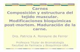 Carnes Composición y estructura del tejido muscular ...