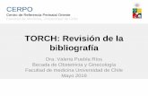 TORCH: Revisión de la bibliografía