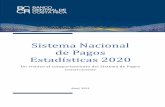 Sistema Nacional de Pagos Estadísticas 2020