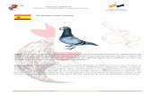 Federación Española de Avicultura, Colombicultura y ...