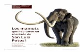 Los mamuts - Universidad Autónoma de San Luis Potosí