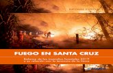 Fuego en Santa Cruz - TIERRA