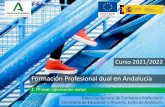 Formación Profesional dual en Andalucía