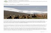 Cambio climático y camélidos andinos