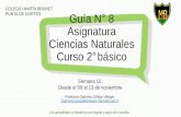COLEGIO MARTA BRUNET Guía N 8 Asignatura Ciencias ...