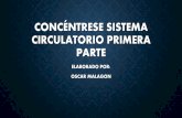 CONCÉNTRESE SISTEMA CIRCULATORIO PRIMERA PARTE