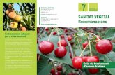 Agrobotiga Recomanacions - Els metges de les plantes