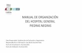 MANUAL DE ORGANIZACIÓN DEL HOSPITAL GENERAL PIEDRAS …