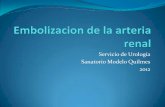Servicio de Urología Sanatorio Modelo Quilmes 2012