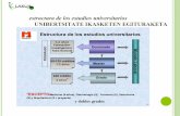 estructura de los estudios universitarios UNIBERTSITATE ...