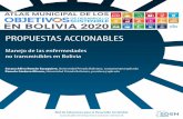 PROPUESTAS ACCIONABLES - SDSN Bolivia