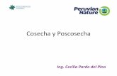 Cosecha y Poscosecha - repositorio.promperu.gob.pe
