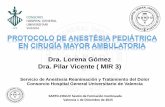 Dra. Lorena Gómez Dra. Pilar Vicente ( MIR 3)