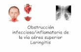 Obstrucción infecciosa/inflamatoria de la vía aérea ...