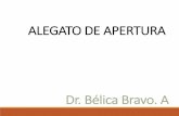 ALEGATO DE APERTURA - consejosiberoamericanos.com