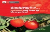 Línea de base de la diversidad del tomate peruano con ...
