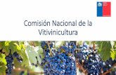 Comisión Nacional de la Vitivinicultura