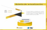 Boletín de actualización - NIC NIIF