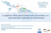 La Agenda 2030 para el Desarrollo Sostenible y su demanda ...