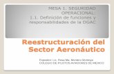Reestructuración del Sector Aeronáutico
