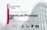 Experto en Procesos BIM - celempresas.com