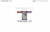 Ensayo Optativo 3 Tesla