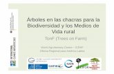 Árboles en las chacras para la Biodiversidad y los Medios ...