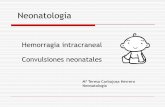 Hemorragia intracraneal Convulsiones neonatales