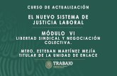 EL NUEVO SISTEMA DE JUSTICIA LABORAL MÓDULO VI