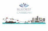 BLUECREST CARIBBEAN, SRL. - ConnectAmericas