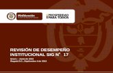 REVISIÓN DE DESEMPEÑO INSTITUCIONAL SIG N 17