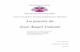 La poesía de José Ángel Valente