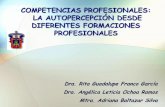 COMPETENCIAS PROFESIONALES: LA AUTOPERCEPCIÓN DESDE ...