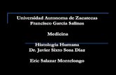 Universidad Autonoma de Zacatecas Francisco García Salinas ...