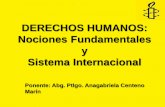 DERECHOS HUMANOS: Nociones Fundamentales y Sistema ...