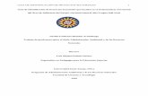 GUIA DE IDENTIFICACIÓN DE PROYECTOS SECTORIALES 1