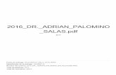 SALAS.pdf 2016 DR. ADRIAN PALOMINO