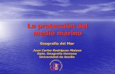 La protección del medio marino - LICENCIATURA DE GEOGRAFÍA