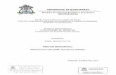 UNIVERSIDAD DE QUINTANAROO División de Ciencias Sociales y ...