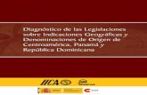 Diagnóstico de las Legislaciones sobre Indicaciones ...
