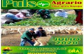 JULIO 2020 - Gerencia Regional de Agricultura - Moquegua