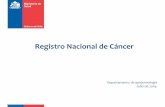 Registro Nacional de Cáncer - incancer.cl