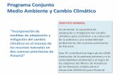 Programa Conjunto Medio Ambiente y Cambio Climático